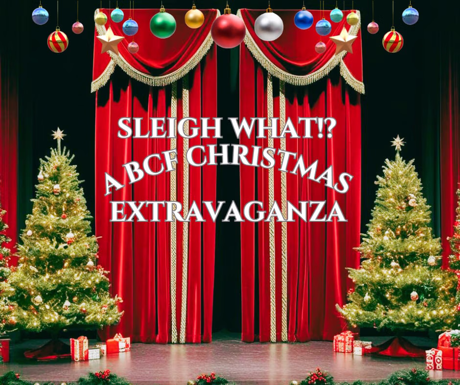 Sleigh What!? Logo